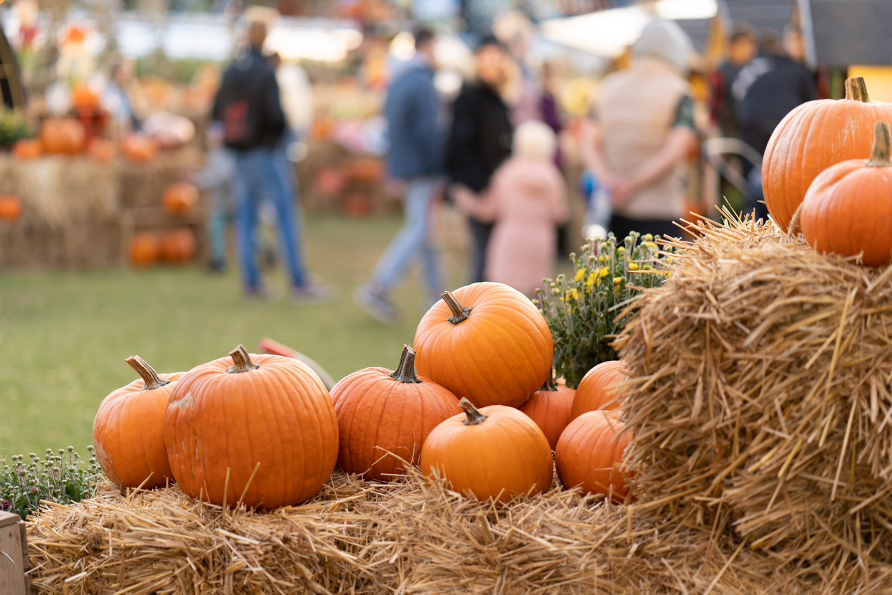 Pumpkins stacked on straw bales