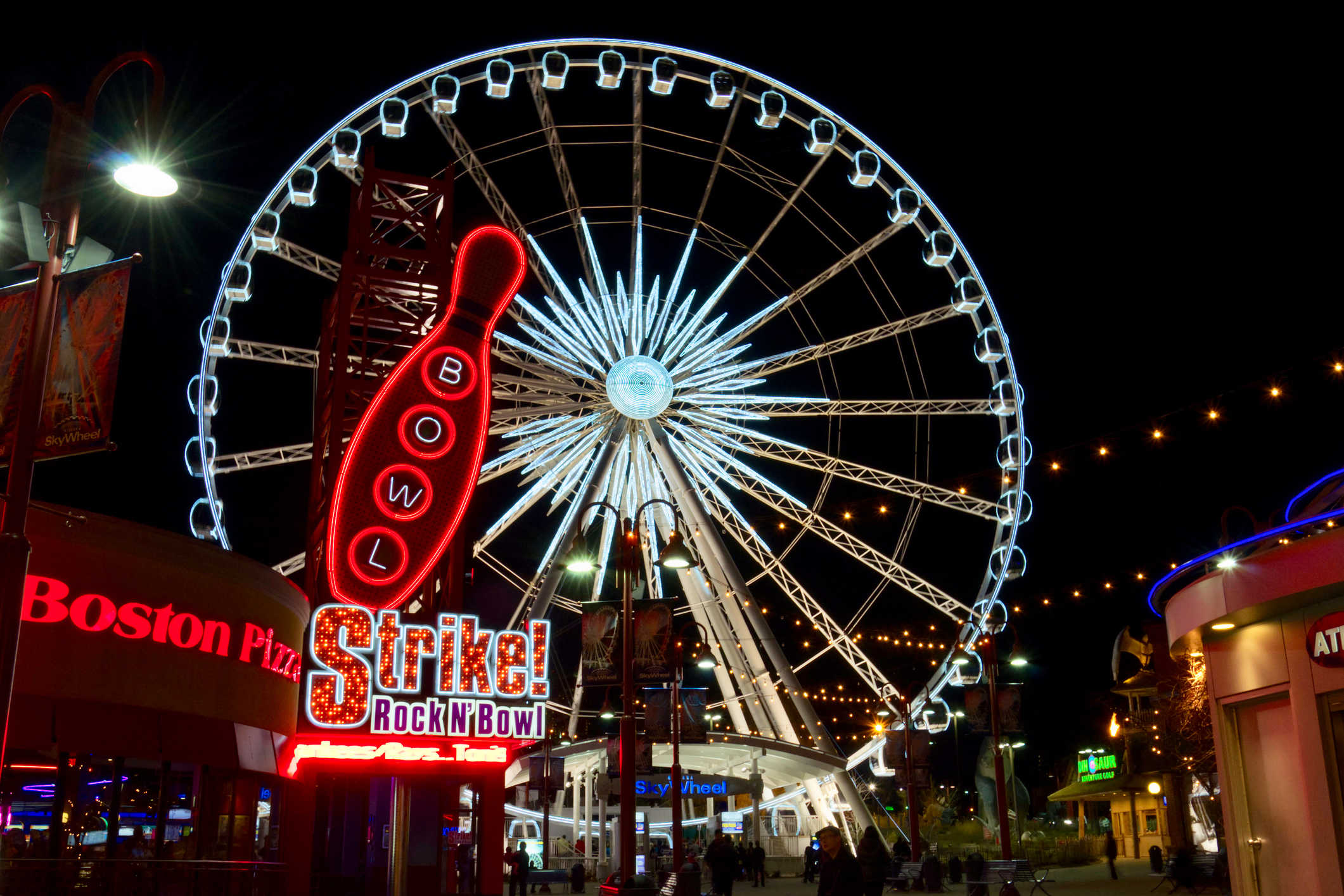 Niagara Skywheel
