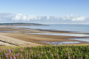 7 Scenic Road Trips in Canada You Need to Take This Summer
