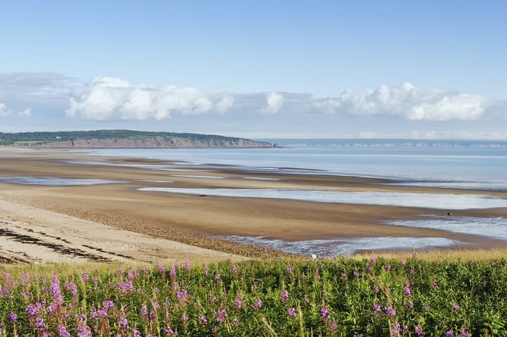 Bay of Fundy, New Brunswick: 7 Scenic Road Trips in Canada You Need to Take This Summer