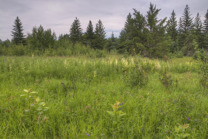 Birds Hill Provincial Park