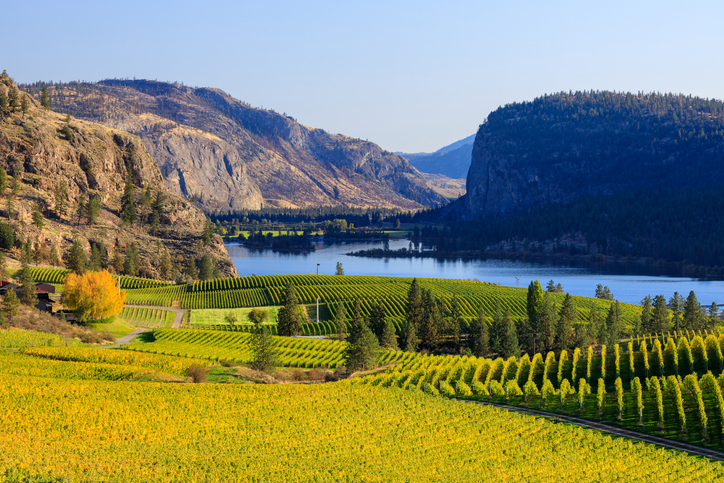 Blue Mountain Vineyard & Cellars: Top Wineries and Vineyards in Canada to Visit This Year
