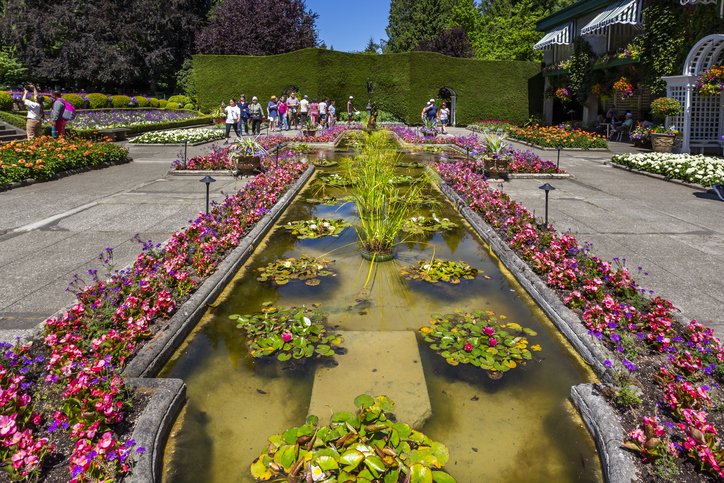 Butchart Gardens: Spring in Canada Must-Visit Flower Bloom Destinations