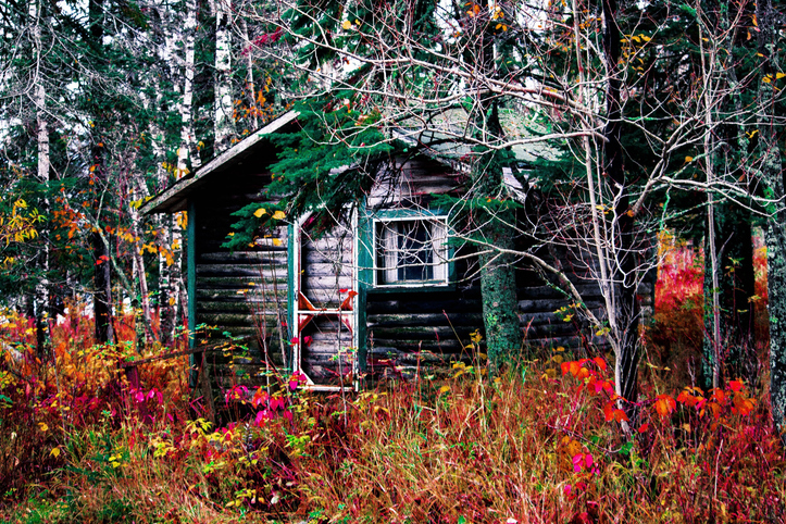 Cabinonthe9 - Mono, Ontario