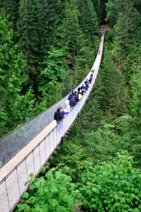 Capilano Suspension Bridge