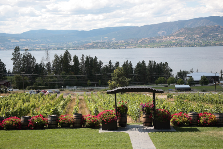 CedarCreek Estate Winery