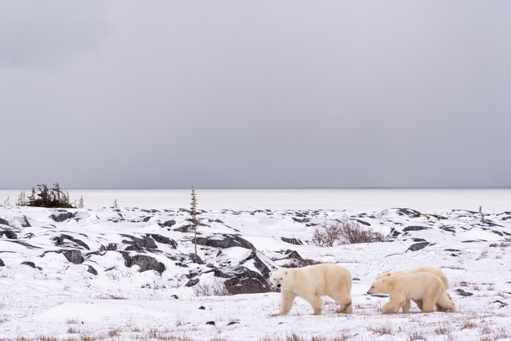 Churchill, Manitoba