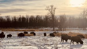 Canada in Summer 2025 – Hidden Gems to Beat the Crowds