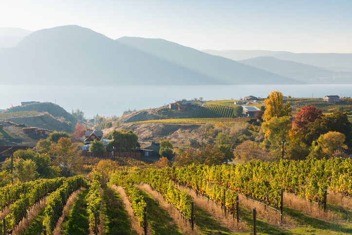 Gray Monk Estate Winery