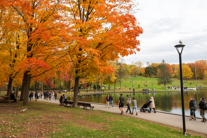 Mont Royal Park – Montréal, Québec: Spring in Canada Must-Visit Flower Bloom Destinations