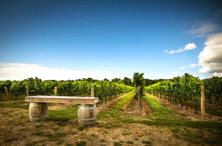 Pentâge Winery: Top Wineries and Vineyards in Canada to Visit This Year