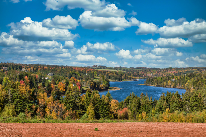 Prince Edward Island: Where to See the Best Fall Foliage in Canada (with Exact Dates!)