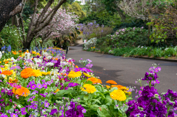 Royal Botanical Gardens – Burlington, Ontario: Spring in Canada Must-Visit Flower Bloom Destinations