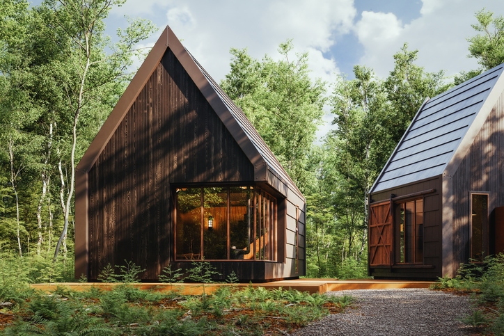 The Forest Refuge