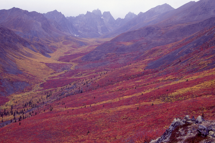 Tombstone Territorial Park, Yukon