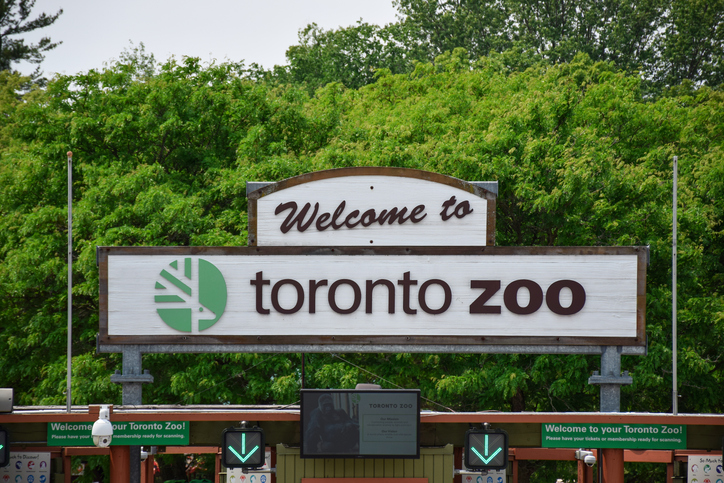 Toronto Zoo: Top Canadian attractions for kids