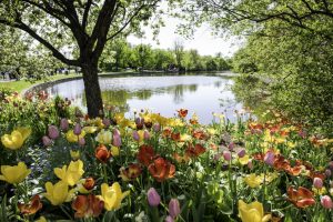 Spring in Canada: Must-Visit Flower Bloom Destinations