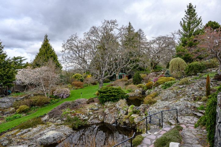 Abkhazi Garden
