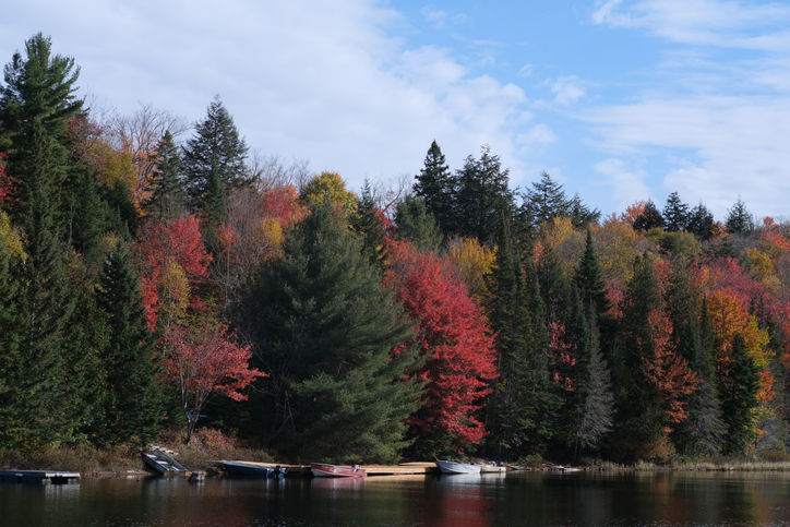 Algonquin Provincial Park, Ontario:Kayaking in Canada: Top Spots for Beginners and Pros Alike