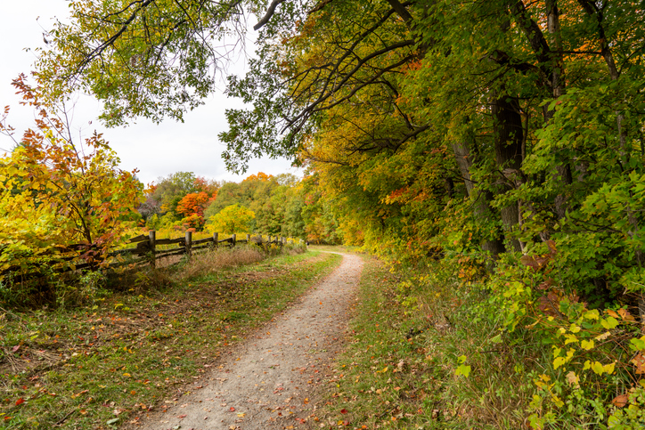 Bronte Creek Provincial Park: Things to Do In Oakville, Ontario, Canada