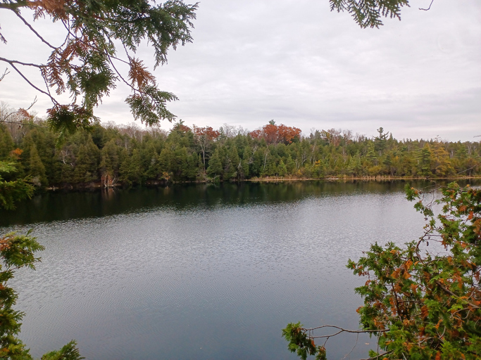 Crawford Lake Conservation