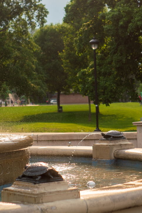 Gage Park