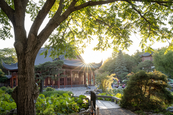 Montreal Botanical Garden