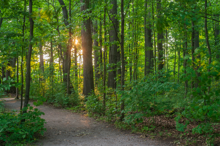 Mountsberg Conservation Area