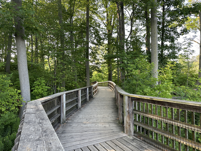 Rattray Marsh Conservation Area