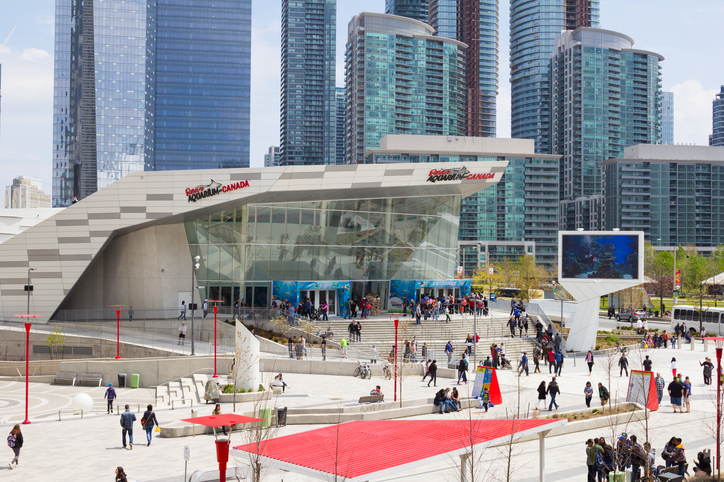 Ripley’s Aquarium Canada: Things To Do In Ontario, Canada