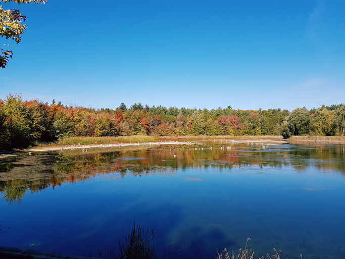 Robert Edmondson Conservation Area