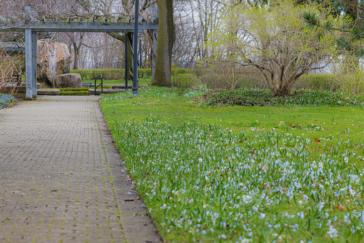 Rosetta McClain Gardens