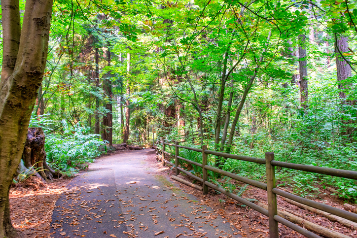 Stanley Park: Things To Do In Vancouver, British Columbia, Canada