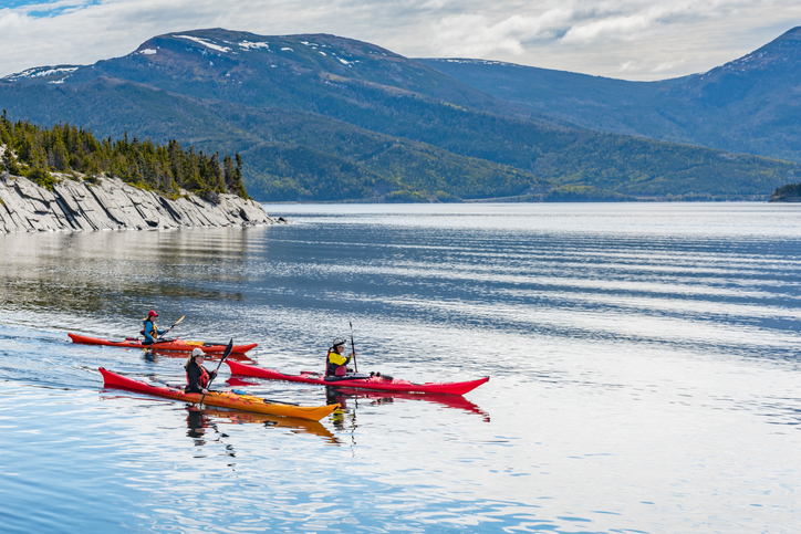 The East Coast of Newfoundland