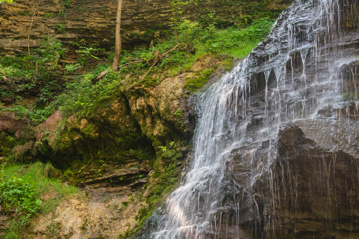 Tiffany Falls Conservation Area