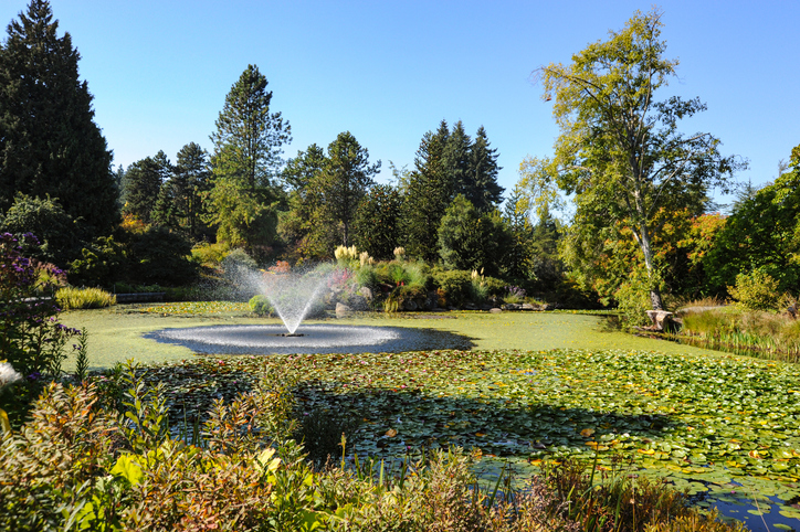VanDusen Botanical Garden