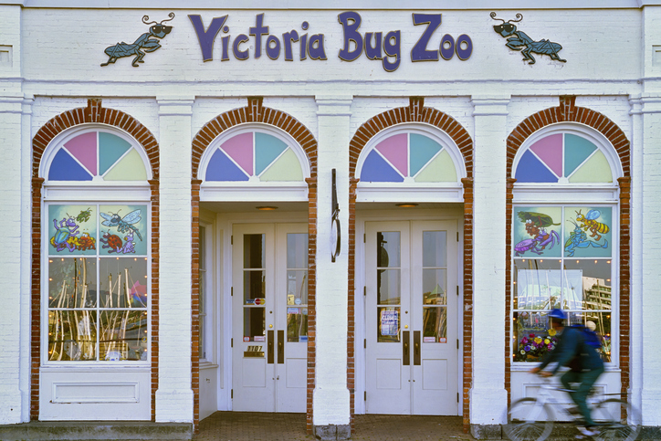 Victoria Bug Zoo