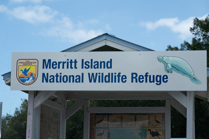 Merritt Island National Wildlife Refuge: Things To Do In Merritt Island, Florida, United States