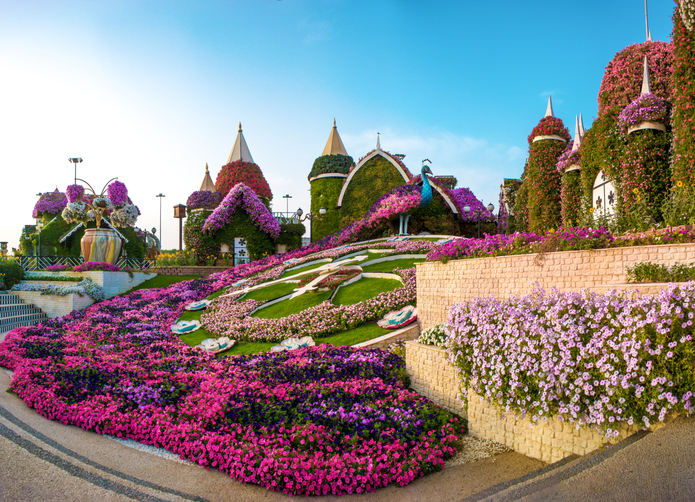 Miracle Garden