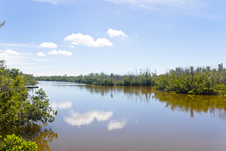 Pine Island Conservation Area