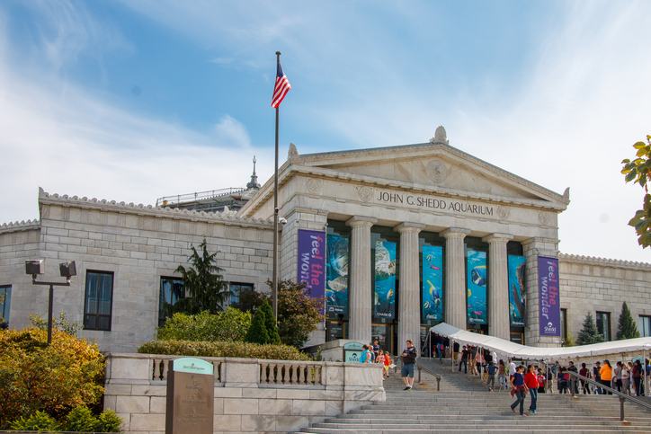 Shedd Aquarium