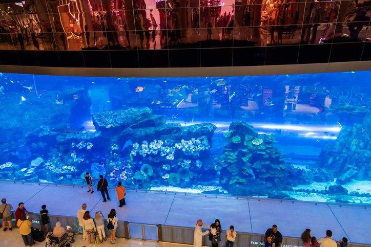 Dubai Aquarium & Underwater Zoo: Fun for All Ages: Family-Friendly Activities in Dubai