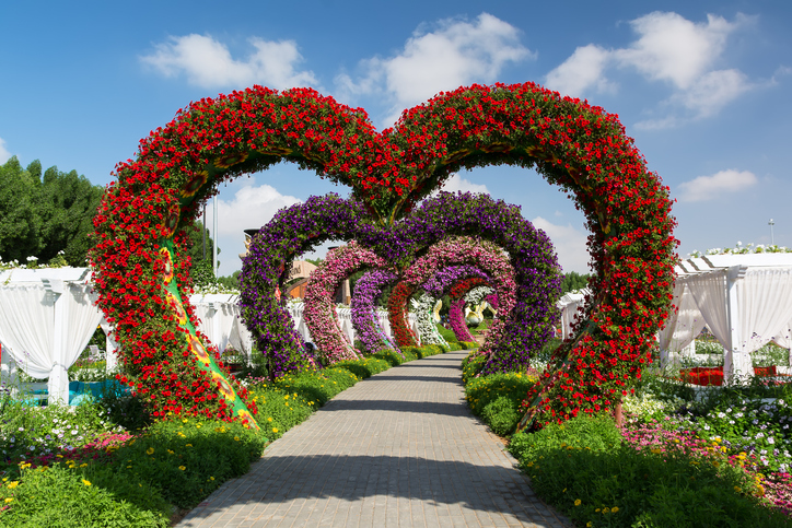 Miracle Garden