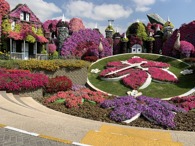 Miracle Garden