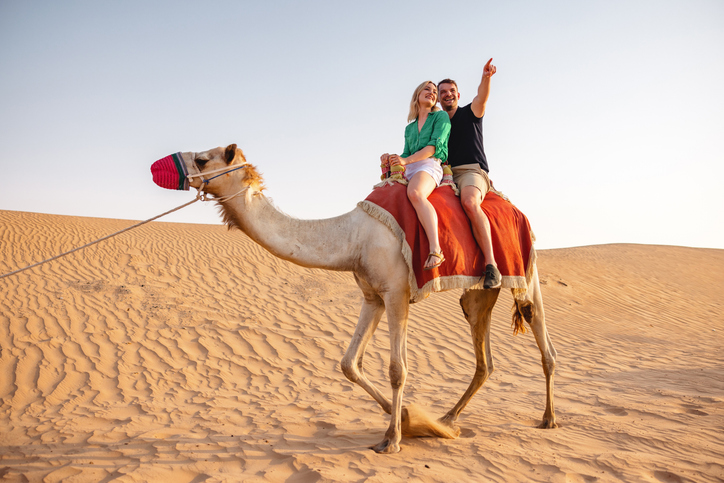 Desert safari