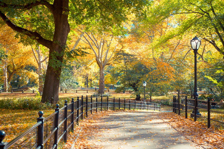 Central Park: Best times of day for panoramic photo-ops of Manhattan