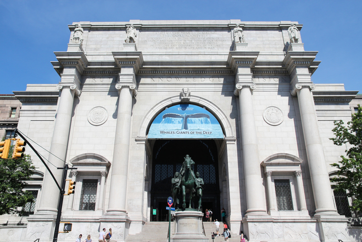 American Museum of Natural History: Indoor tours and museums that give you backup when the weather is off
