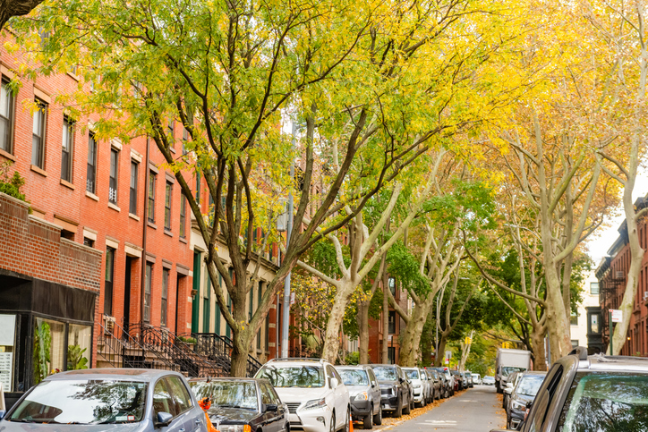 Brooklyn Heights Fall Foliage: NYC in the fall The best tours to enjoy autumn in the city