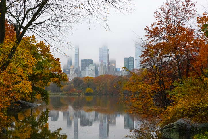 Central Park in Autumn: NYC in the fall The best tours to enjoy autumn in the city