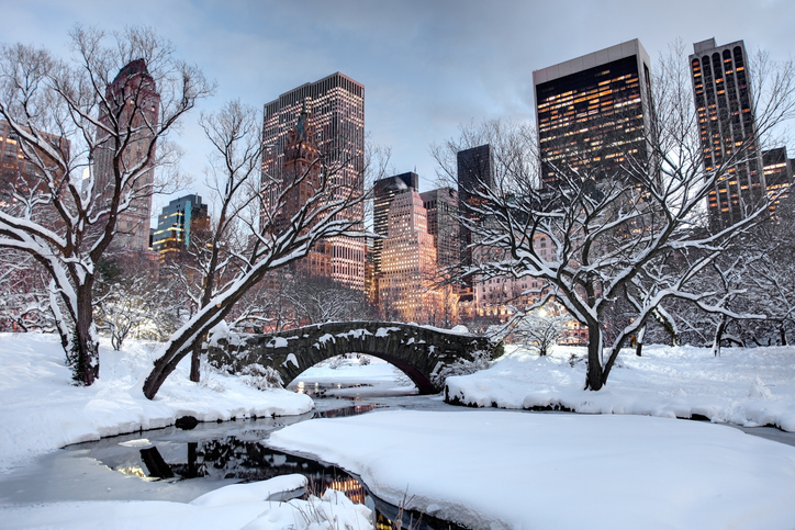 Central Park Winter Experience